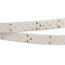 Лента светодиодная RT 2-5000 24V Day4000 3x2 (2835, 1260 LED, CRI98) (Arlight, 27 Вт/м, IP20)